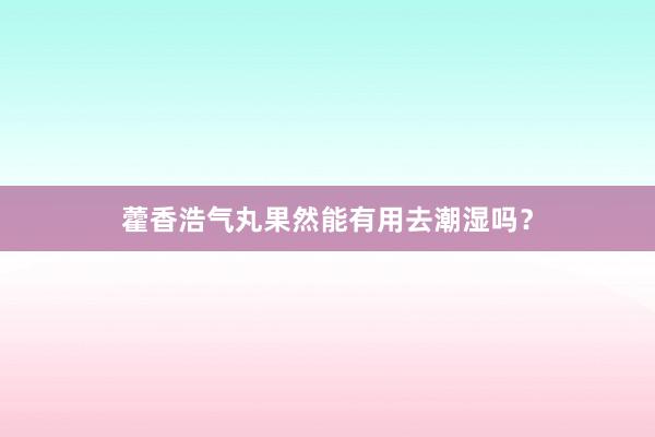 藿香浩气丸果然能有用去潮湿吗？